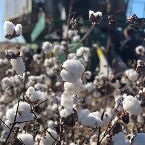 Hello lovey! Here's a little about me: - Picture 4 of 4